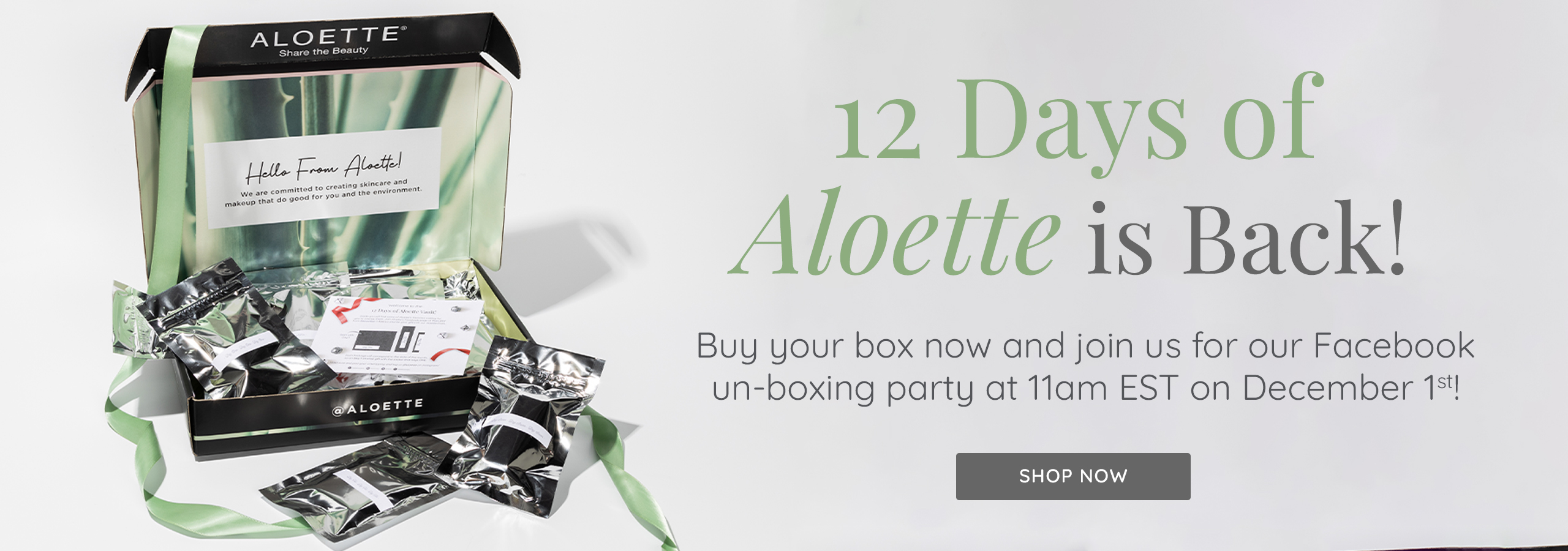 12 Days of Aloette Launch Desktop Banner