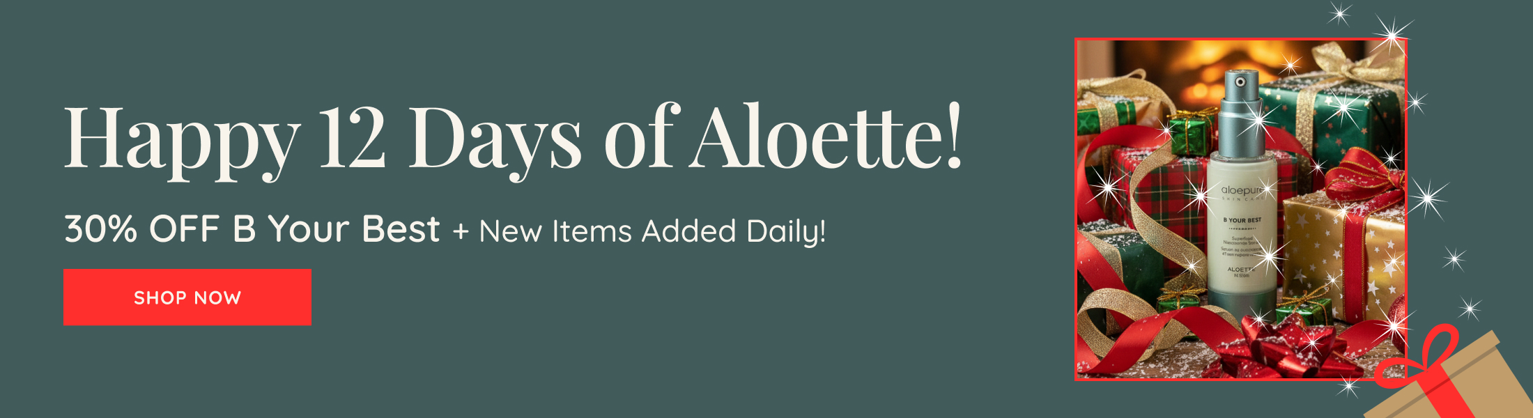 ALO 12 Days of Aloette Banner Desktop ENG