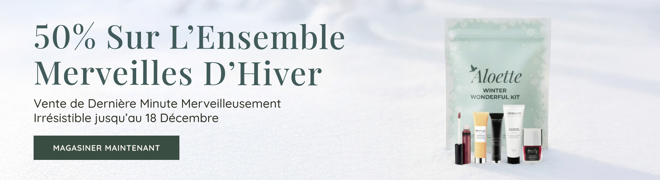 Wonderfully Last Minute Sale Banner Desktop FR