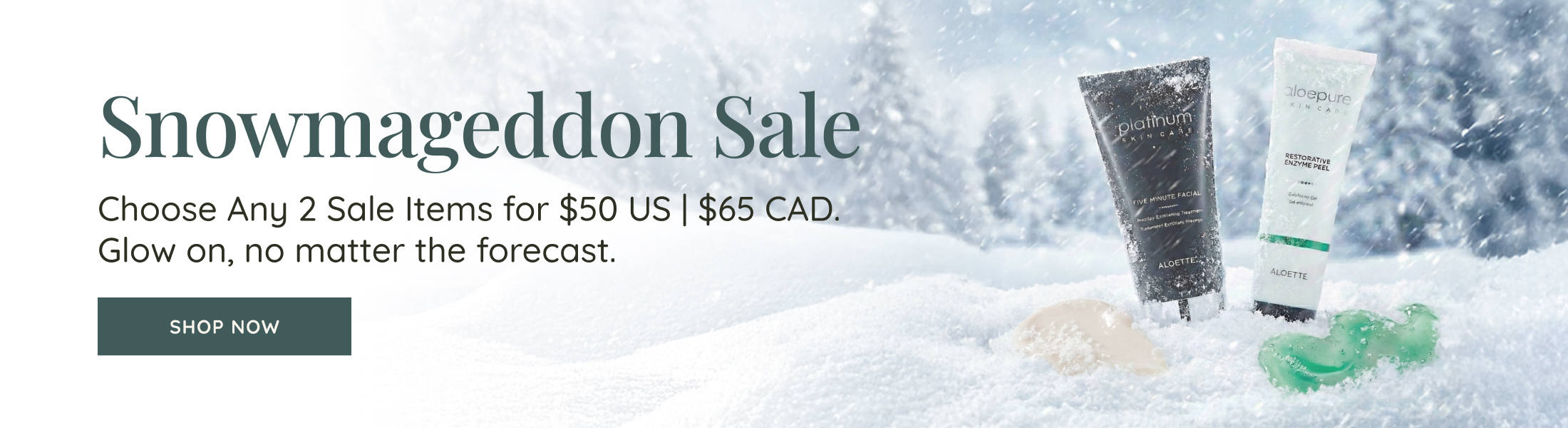 ALO Snowmageddon Sale Banner Desktop ENG