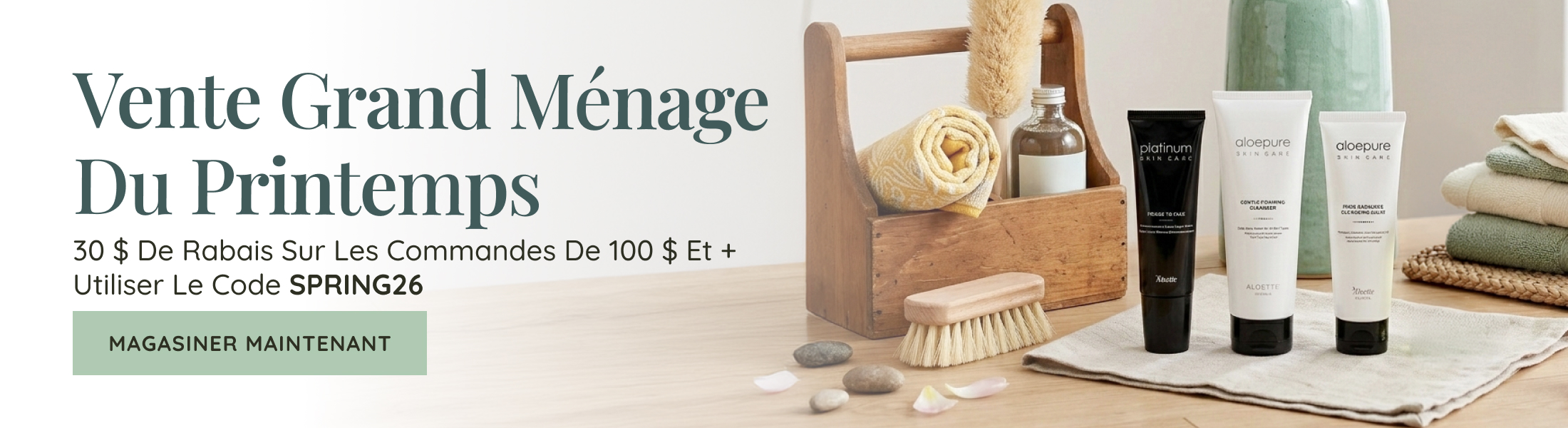 Spring Cleaning Sale Banner Desktop FR