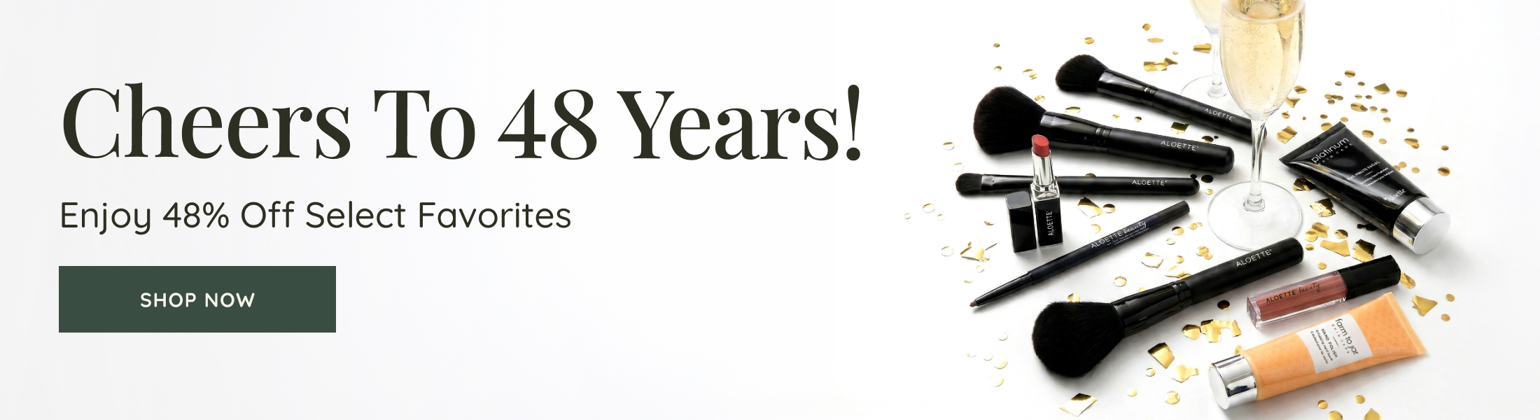 Anniversary Sale Banner Desktop ENG