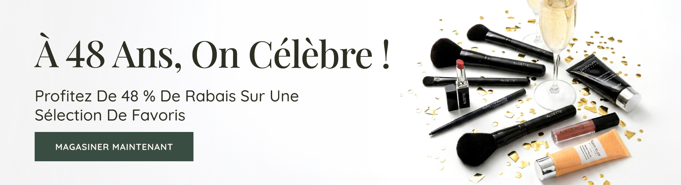 Anniversary Sale Banner Desktop FR
